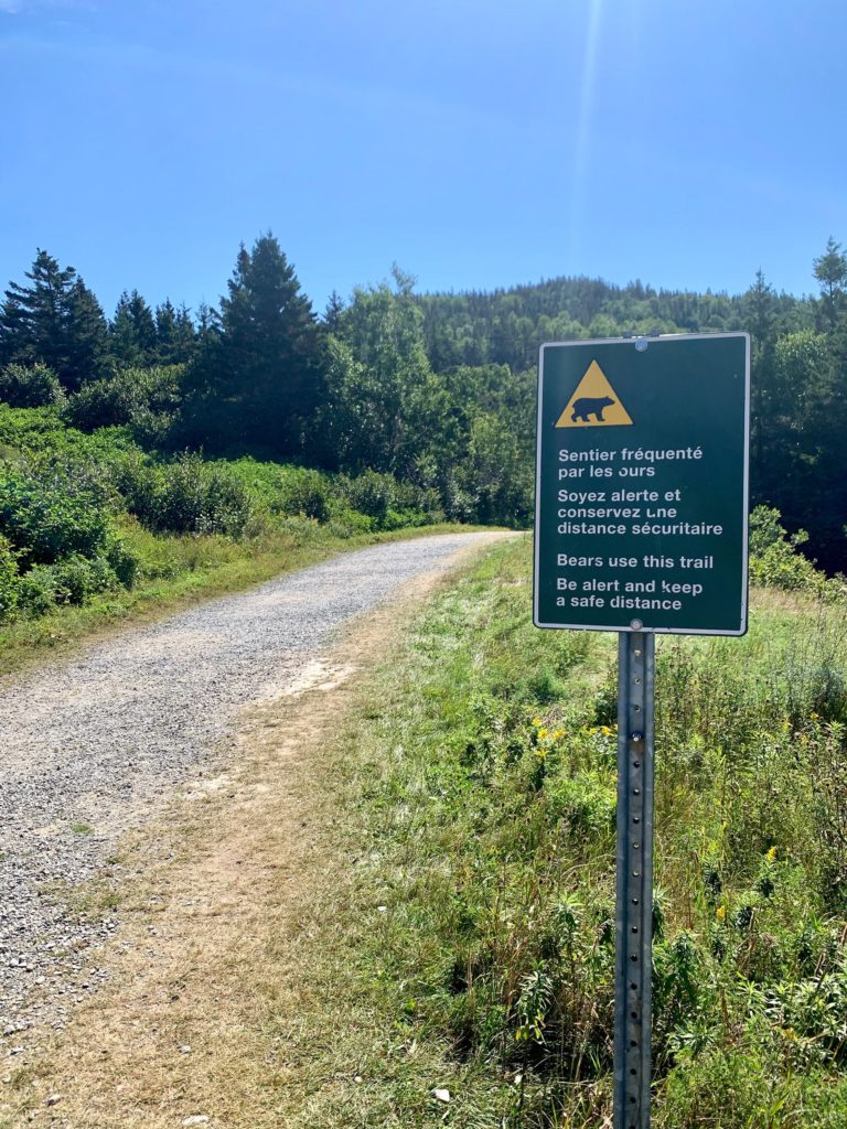 Randonnée Parc National Forillon