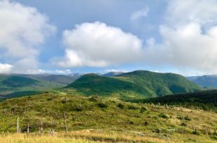 panorama Mont Ernest Lafornece - Parc de la Gaspésie